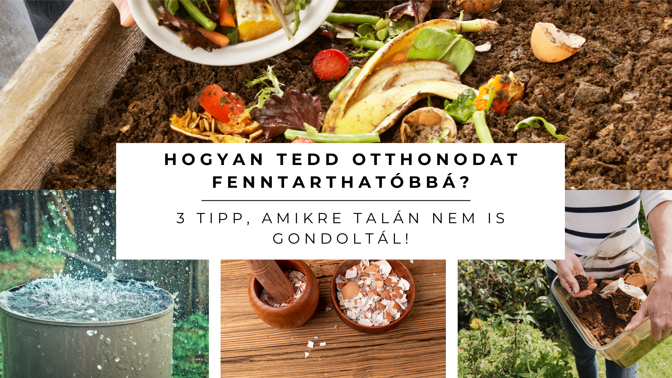 Hogyan tedd otthonodat fenntarthatóbbá? – 3 tipp, amikre talán nem is gondoltál!