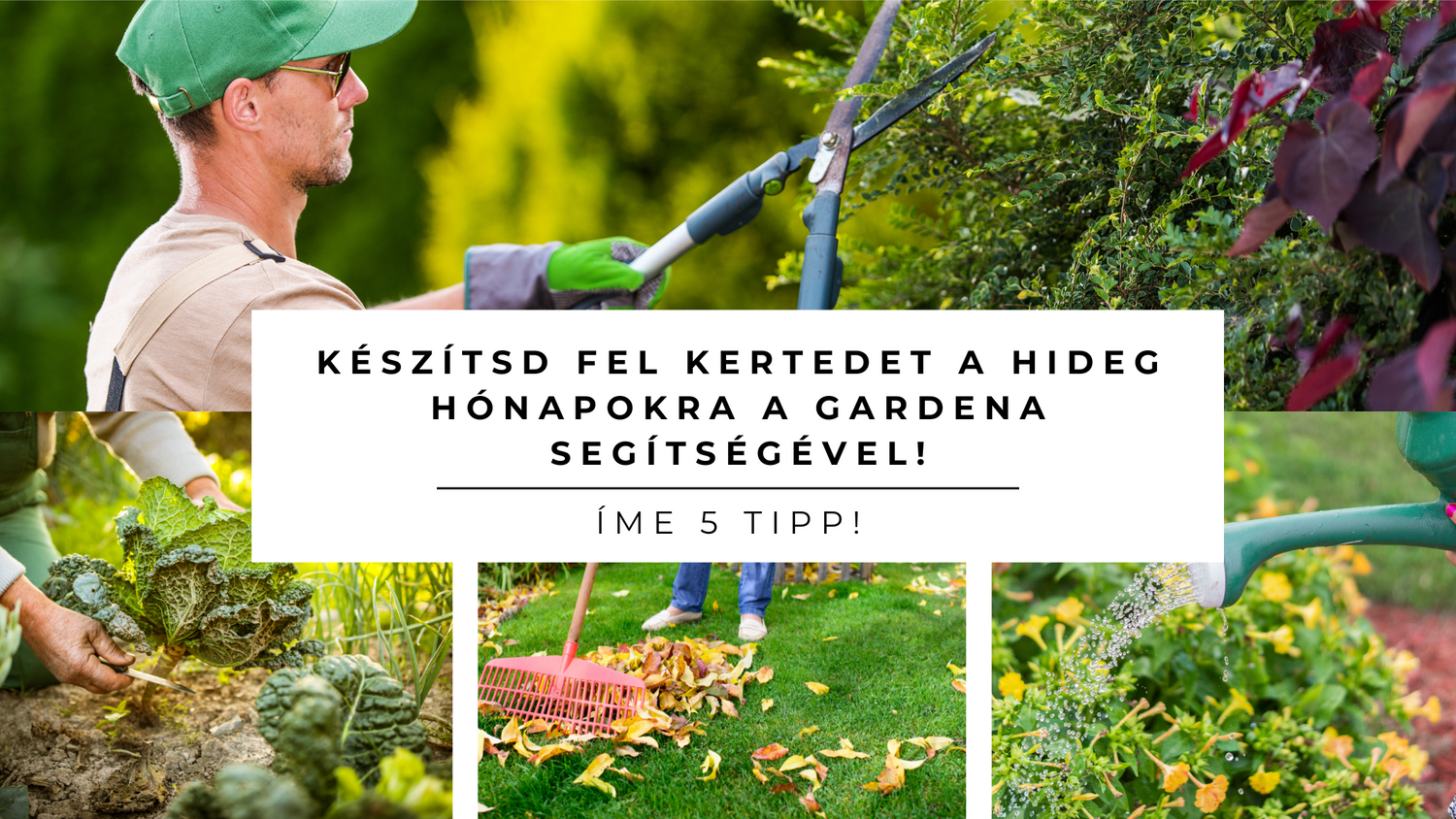 Készítsd fel vegyszermentes kertedet a hideg hónapokra a Gardena Segítségével - Íme 5 tipp!