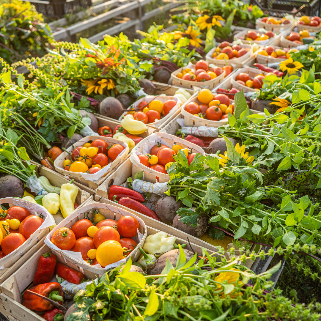 MyFarm Zöldség kosár - Nyári előfizetés