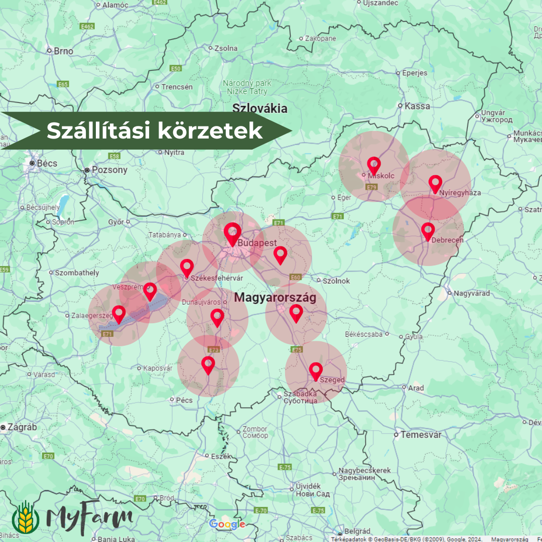 MyFarm Zöldség kosár - Téli előfizetés