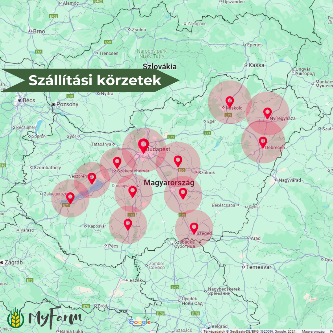 MyFarm Zöldség kosár - Nyári előfizetés