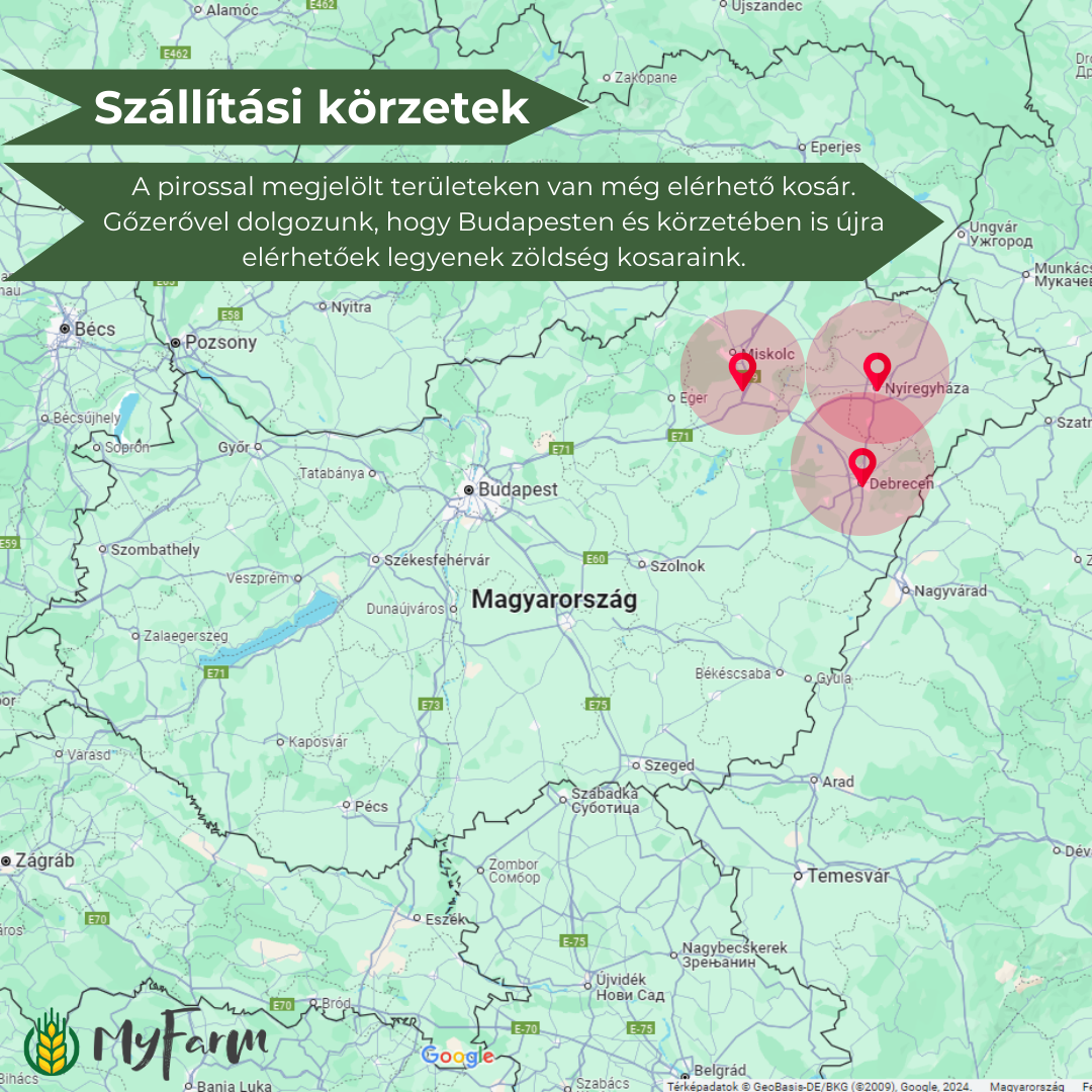 MyFarm 3 hónapos téli zöldségkosár-előfizetés- (Debrecen és vonzáskörzete)